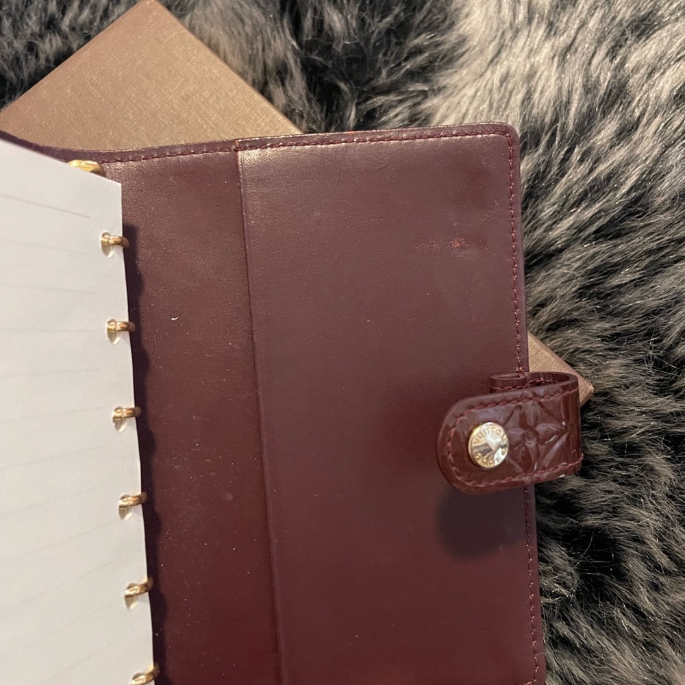 Louis Vuitton Vernis Agenda PM - Picture 5 of 10
